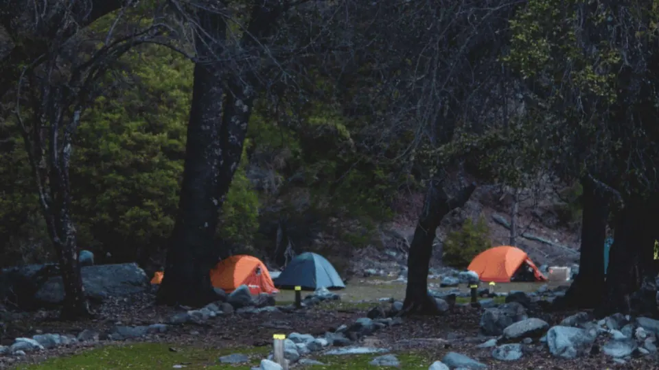 Camping entre árboles en el parque