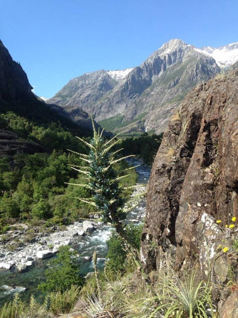 Valle cordillerano atravesado por el estero Las Ánimas