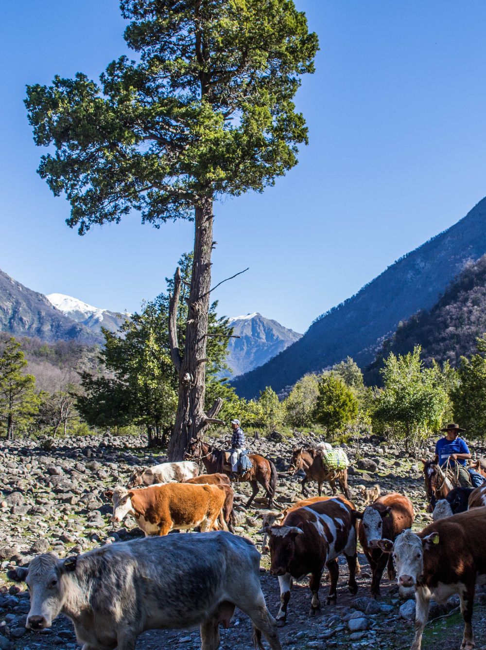 Memoria de los recorridos cordilleranos en el valle de Las Ánimas