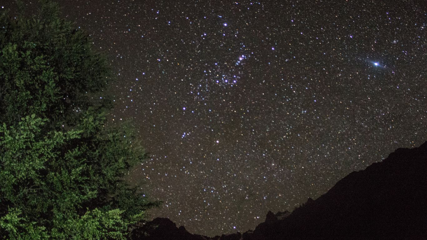Cielo estrellado sobre el bosque y las montañas de Cordillera Los Quemados