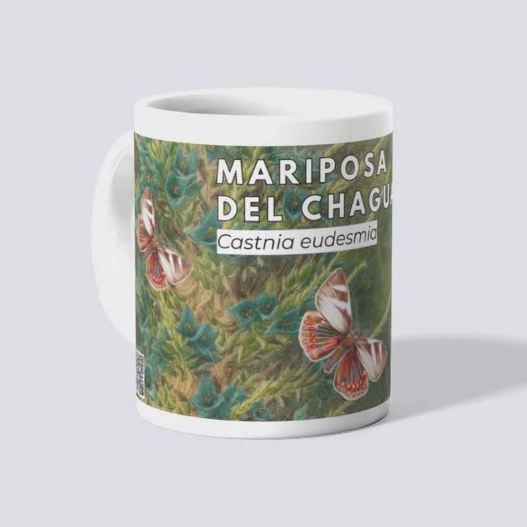 Tazones Biodiversidad del Parque Cordillera Los Quemados - Imagen 6