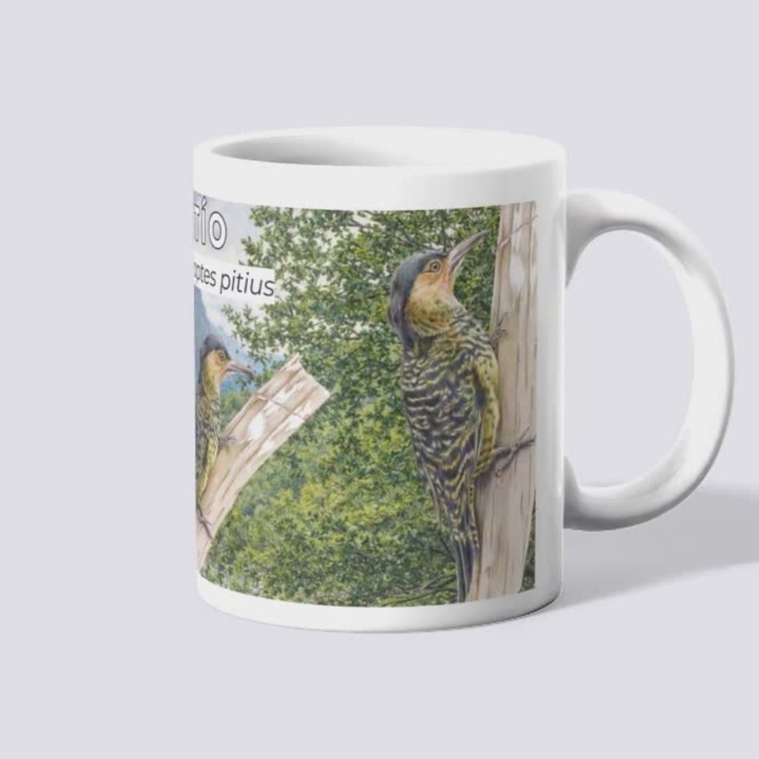 Tazones Biodiversidad del Parque Cordillera Los Quemados - Imagen 5