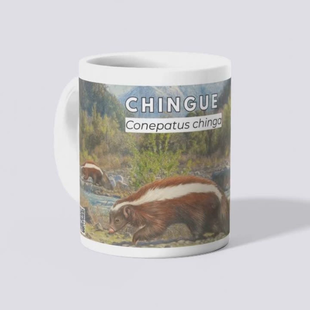 Tazones Biodiversidad del Parque Cordillera Los Quemados - Imagen 4