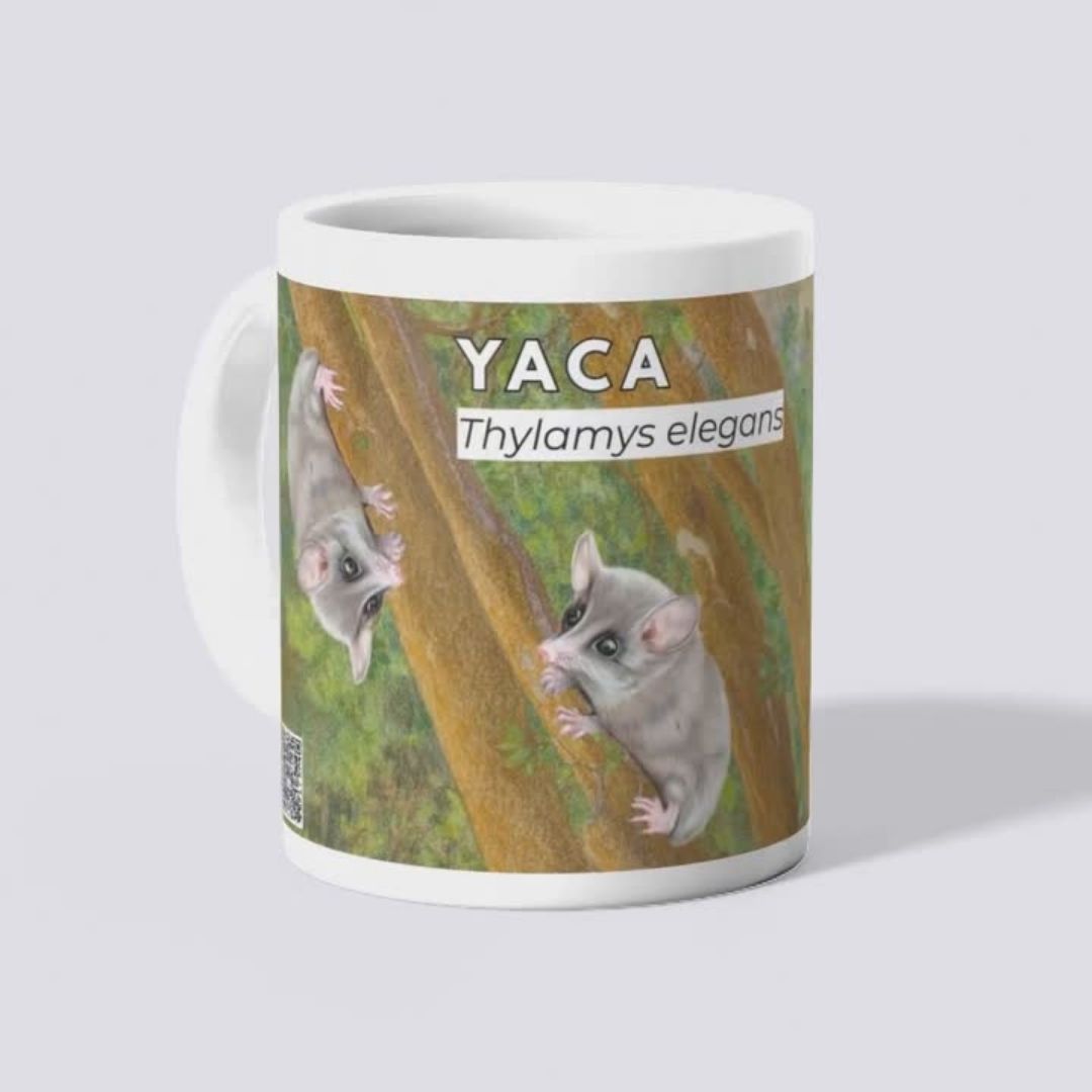 Tazones Biodiversidad del Parque Cordillera Los Quemados - Imagen 3