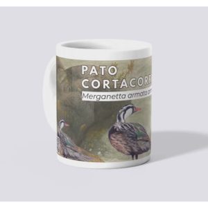 Tazones Biodiversidad del Parque Cordillera Los Quemados Tazones Biodiversidad del Parque Cordillera Los Quemados