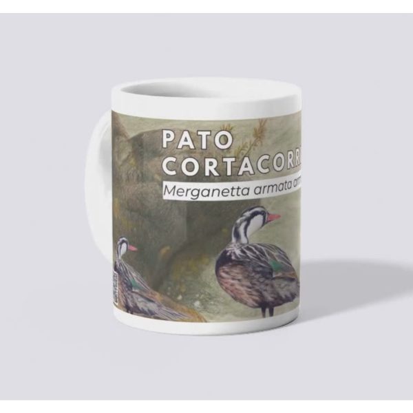 Tazón biodiversidad Parque Cordillera Los Quemados