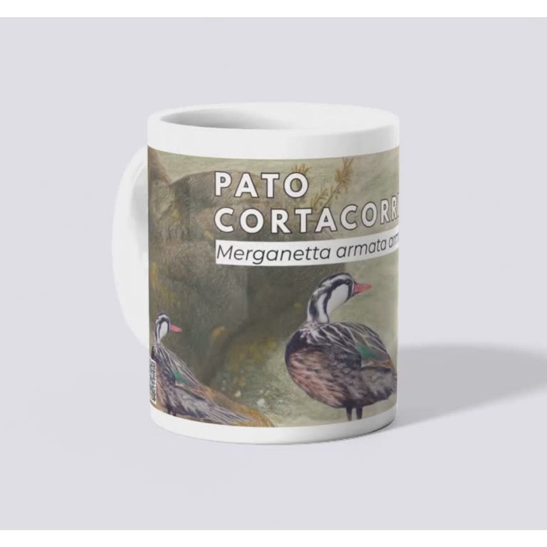 Tazones Biodiversidad del Parque Cordillera Los Quemados