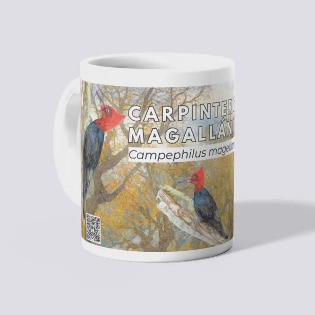 Tazones Biodiversidad del Parque Cordillera Los Quemados - Imagen 10