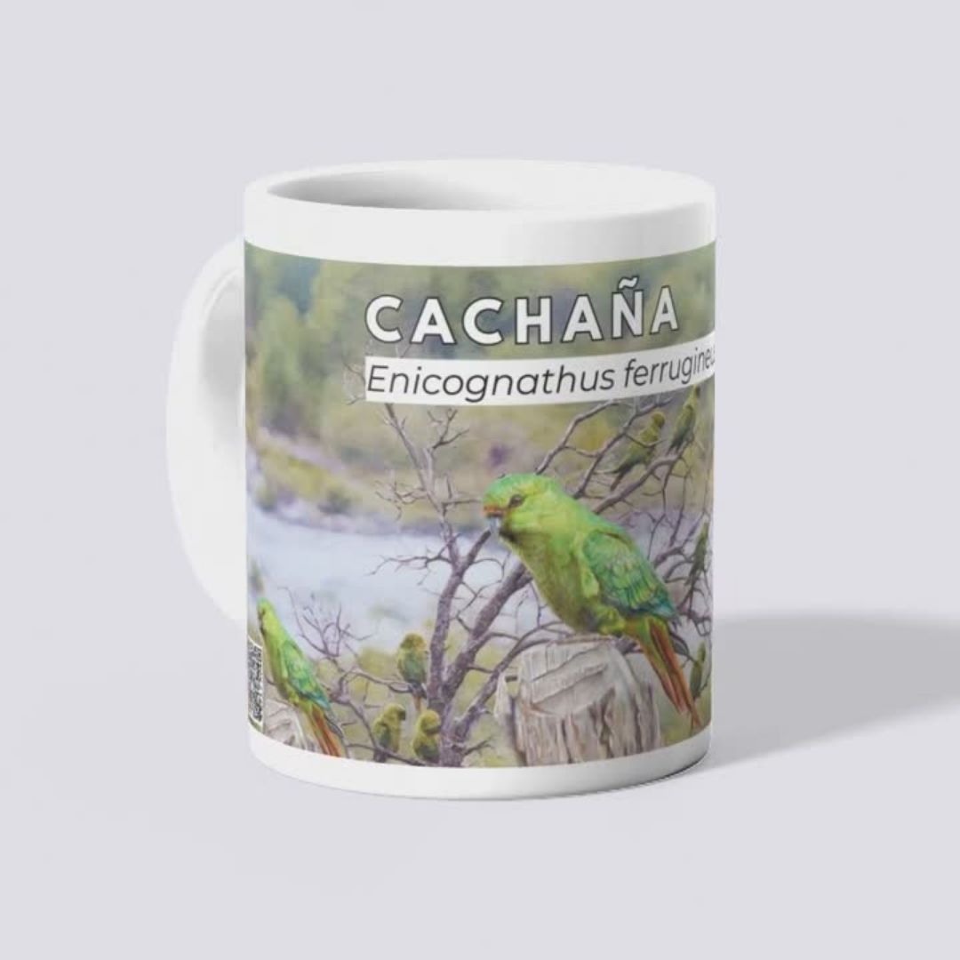 Tazones Biodiversidad del Parque Cordillera Los Quemados - Imagen 9