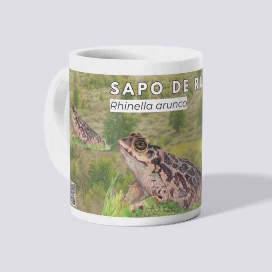 Tazones Biodiversidad del Parque Cordillera Los Quemados - Imagen 8