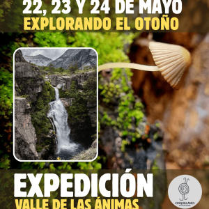 Expediciones al valle de Las Ánimas – Mayo 2026