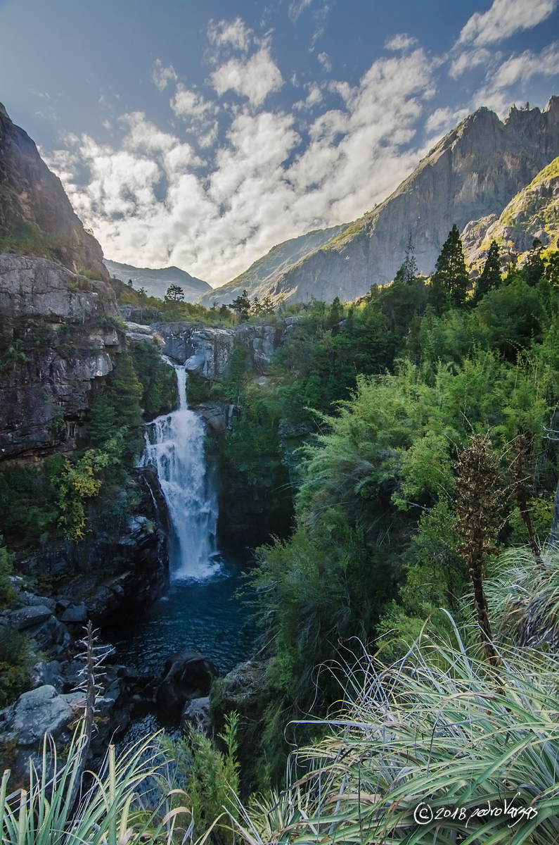 Salto Las Ánimas y bosque del parque · Fotografía de Pedro Vargas